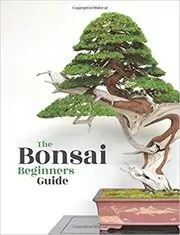 Bonsai
