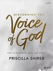 Discerning the Voice of God