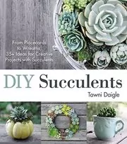 DIY Succulents