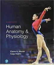 Human Anatomy & Physiology