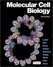Molecular Cell Biology