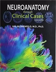 Neuroanatomy Through Clinical Cases