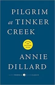 Pilgrim at Tinker Creek