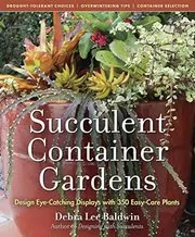 Succulent Container Gardens