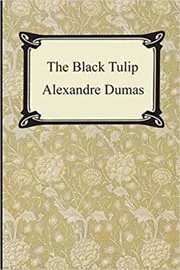 The Black Tulip