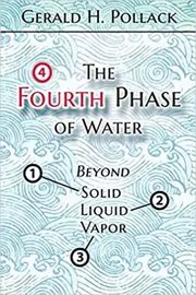 The Fourth Phase of Water
