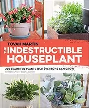 The Indestructible Houseplant