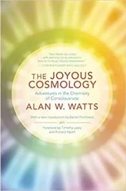 The Joyous Cosmology