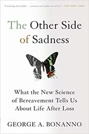 The Other Side of Sadness