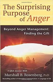 The Surprising Purpose of Anger