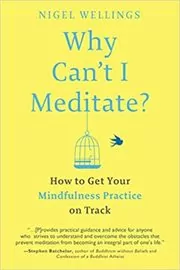 Why Can't I Meditate?